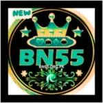 BN 55 Game