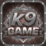K9 Game